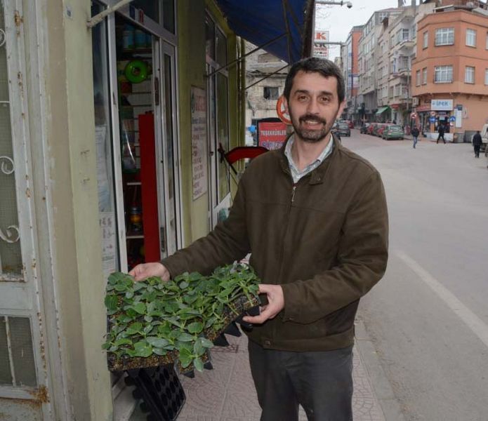 4 mevsim yaşayan Sinop'ta fideler telef oldu