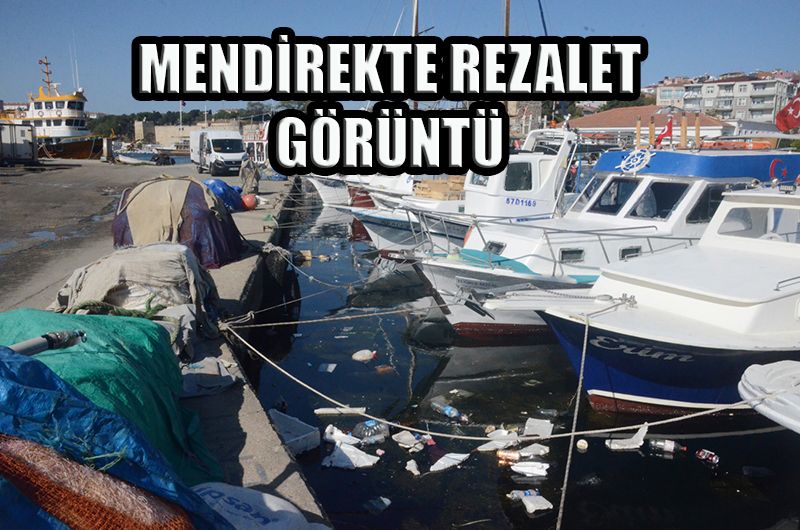 MENDİREKTE REZALET GÖRÜNTÜ
