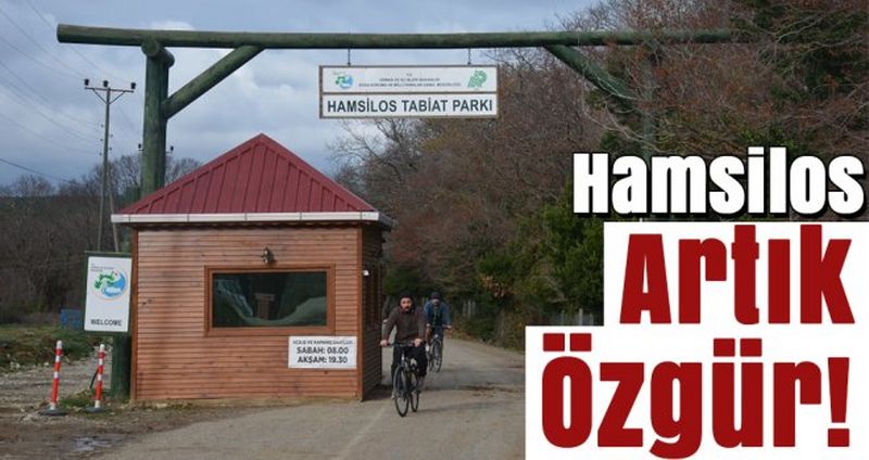 HAMSİLOS MÜCADELESİ SONUÇLANDI!