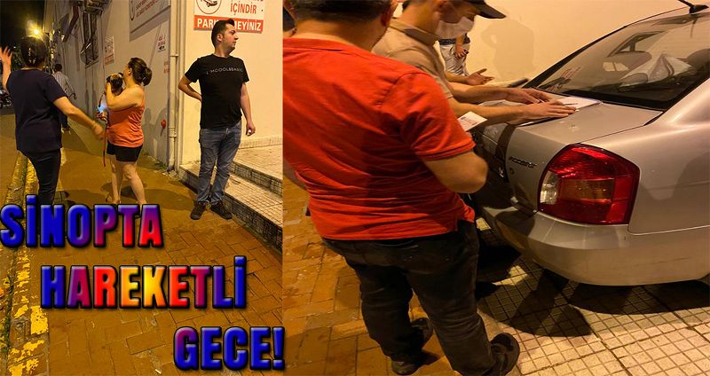 Köpeklerin Kavgası Olay Yarattı