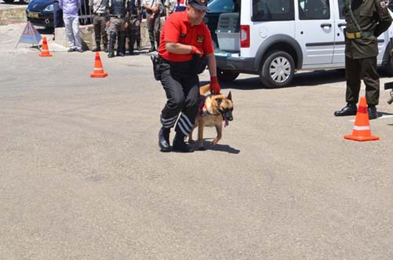 175. YIL KUTLAMALARI RENKLİ GEÇTİ