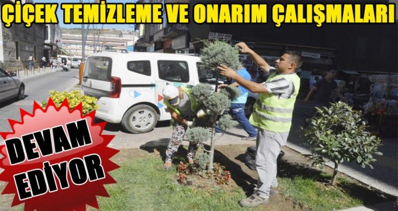 ÇİÇEK TEMİZLEME VE ONARIM ÇALIŞMALARI DEVAM EDİYOR