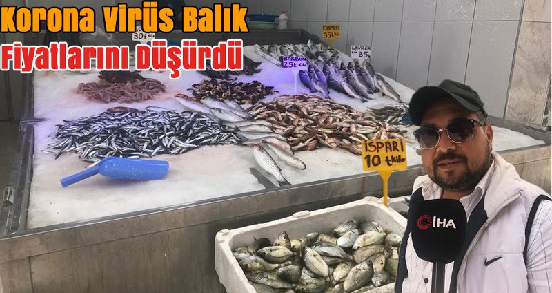 Korona Virüs Balık Fiyatlarını Düşürdü