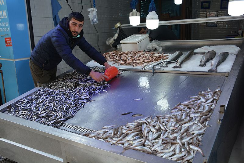 Sinop’ta 1 yılda 687 kişi hayatını kaybetti