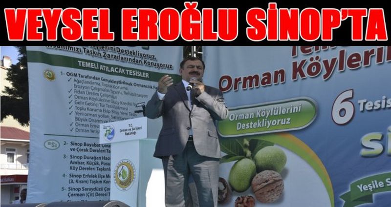 PROF. DR. VEYSEL EROĞLU, SİNOP’TA