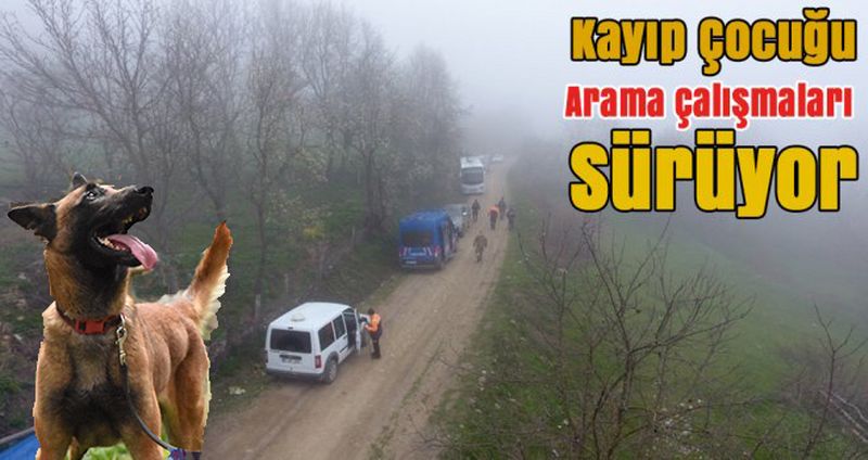 HER YERDE ARANIYOR! KADAVRA ARAMA KÖPEKLERİ DEVREYE GİRDİ