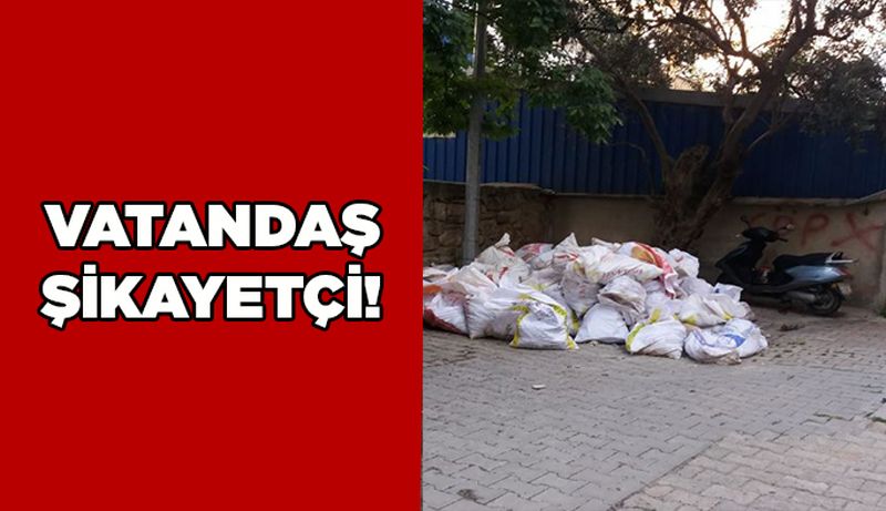 Sinop’un arka sokaklarında çirkin tablo.