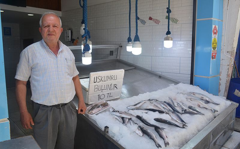 SİNOPLU BALIKÇILAR ENDİŞELİ, KARADENİZ’DEKİ BALIK ÇEŞİTLİLİĞİ AZALABİLİR