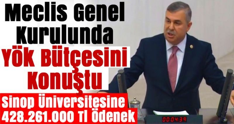 Maviş, Meclis Genel Kurulunda Konuştu