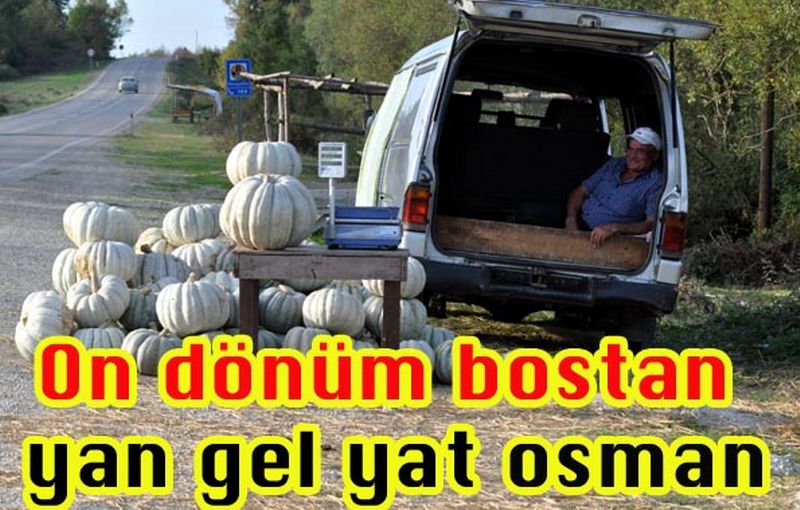 Sinop'ta Kabak Bereketi