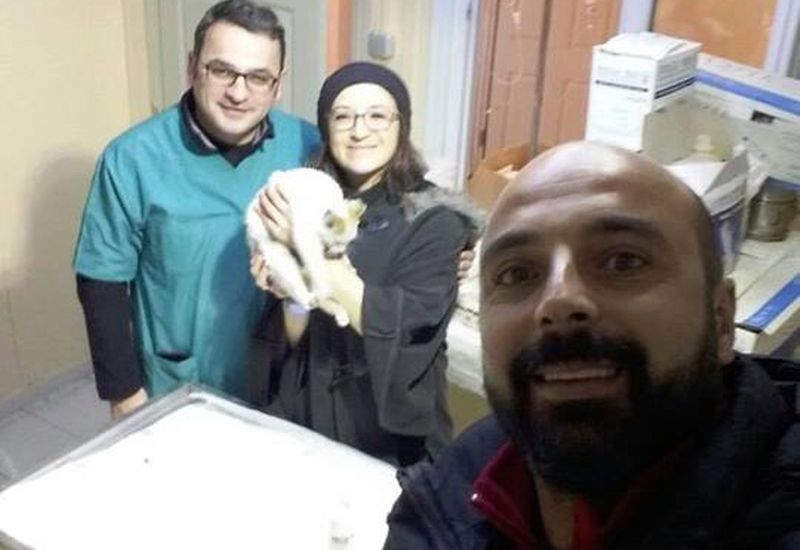 YARALI KEDİ TEDAVİ EDİLDİ