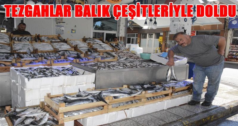 SİNOP’TA BALIK TEZGAHLARI ŞENLENDİ