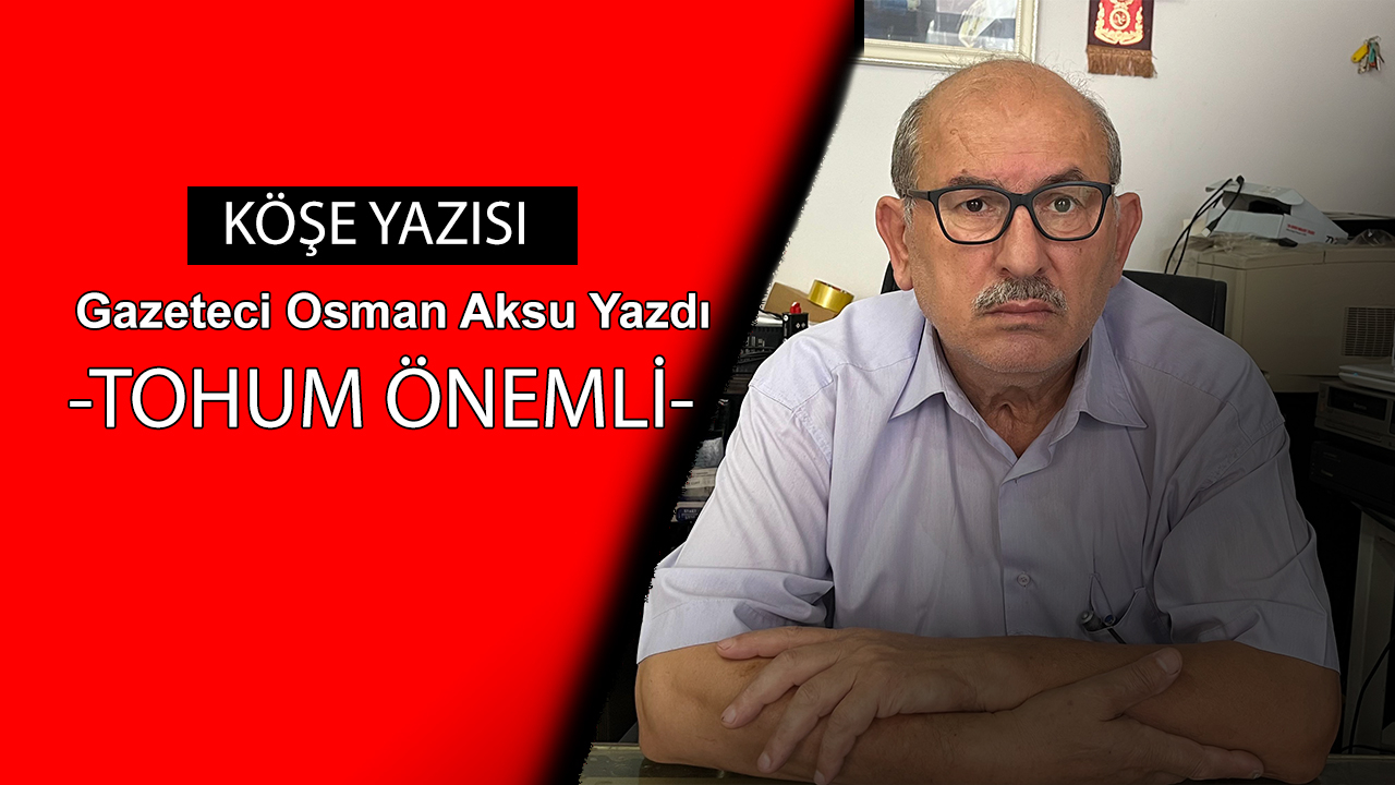 Tohum önemli