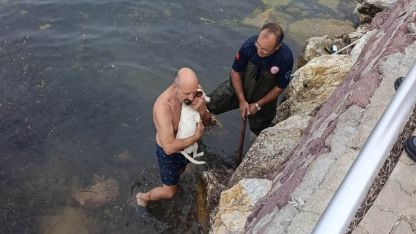 Deniz kenarında sıkışan köpek için kurtarma operasyonu