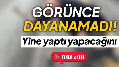 "Bana Ne Demedi": Kaza riskini bitirdi