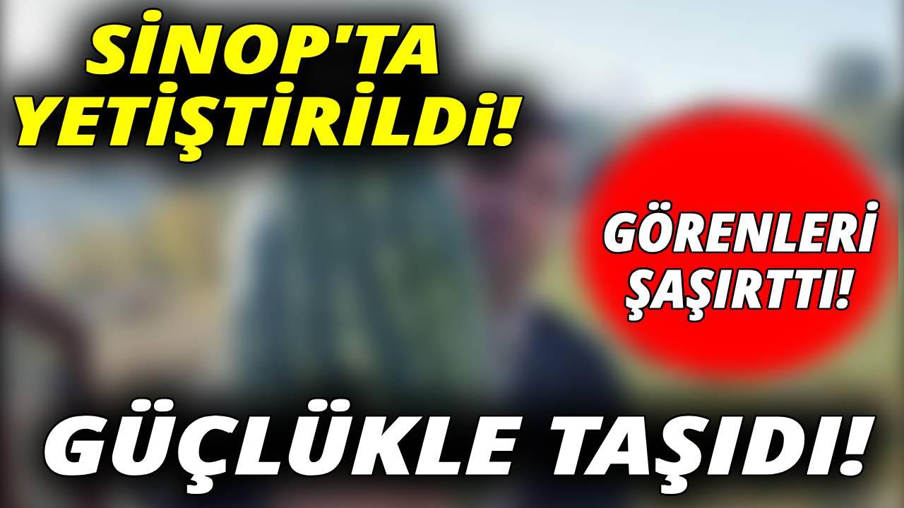 Bu kadarını kimse beklemiyordu!