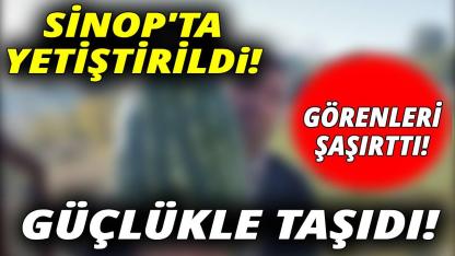 Bu kadarını kimse beklemiyordu!