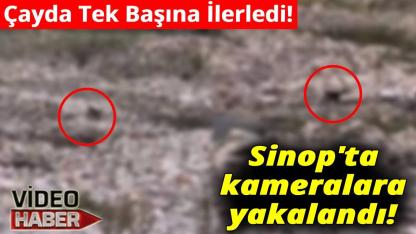 Çaydan geçti! Vatandaşlar tarafından böyle görüntülendi