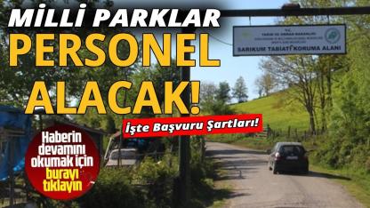 DKMP 240 sözleşmeli personel alacak: Başvurular başladı!