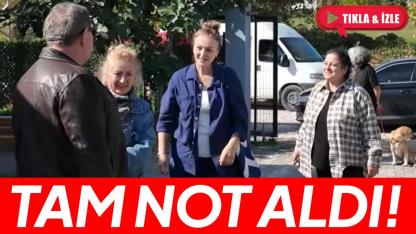 Gerze Belediyesi Barınağı, çevre dostlarından tam not aldı