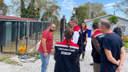 Gerze’de hayvancılık işletmeleri ziyaret edildi