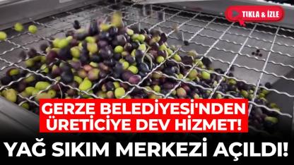 Gerze'de zeytinyağı sıkım merkezi hizmete açıldı