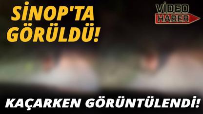 Görüntüler Sinop'tan!