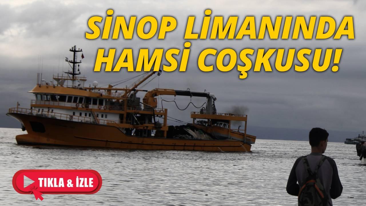 Hamsi sezonu başladı, Sinop limanı av tekneleriyle dolup taşıyor