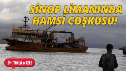 Hamsi sezonu başladı, Sinop limanı av tekneleriyle dolup taşıyor