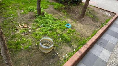 Hayvanlar için konuldu, duyarsızlıkla kirletildi