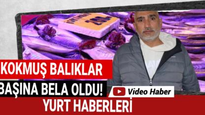 İade etmek istediği balıklarla darp edildi