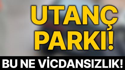 Kaldırıma park etti, yayaları yola itti