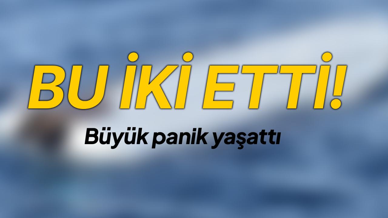Karadeniz&#039;de insansız deniz aracı paniği