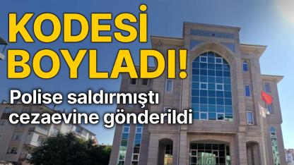 Kaymakamlıkta polis memuruna saldıran şahıs tutuklandı