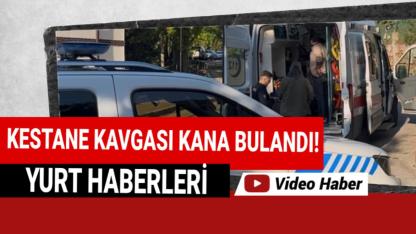 Kestane toplayanlar ile arazi sahipleri çatıştı