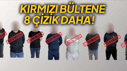 Kırmızı bültenle ve ulusal seviyede aranan 8 suçlu Türkiye'ye getirildi