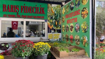 Kışa yeşil başlangıç