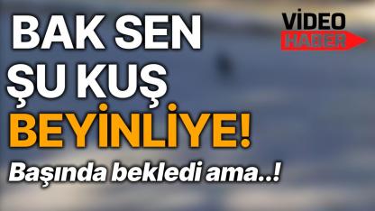 Kurnazlık sonuç getirmedi