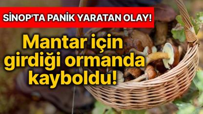 Mantar için girdiği ormanda kayıplara karıştı! Ekipler seferber oldu