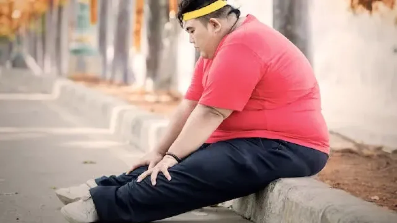 Obezite hastaları, meme kanserinde riskli gruplar arasında yer alıyor