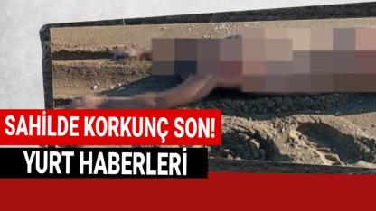 Kum üzerinde dehşete düşüren görüntü