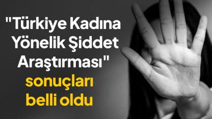 Kadına yönelik şiddet oranları açıklandı