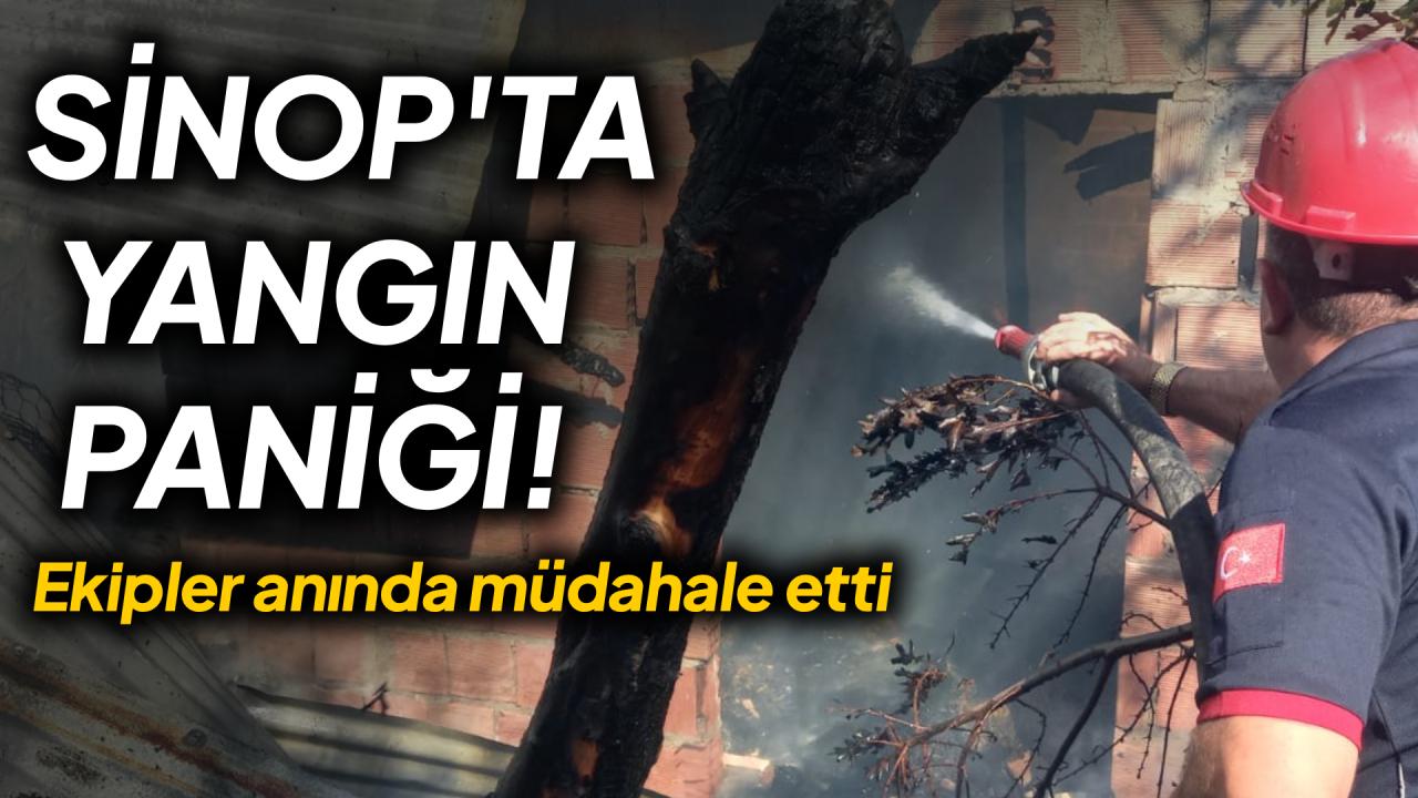 Otomatik Taslak