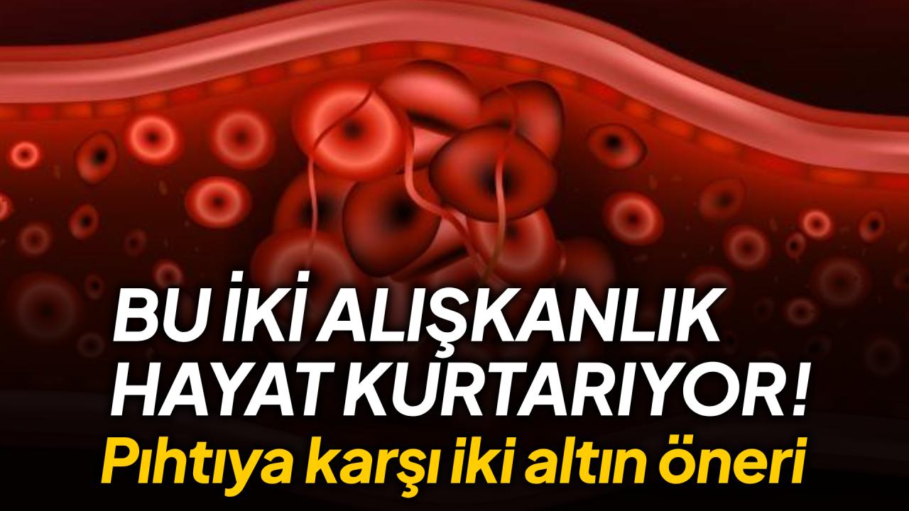 Otomatik Taslak