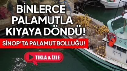 Sinop'ta bir gecede 3 bin 200 palamut avlandı