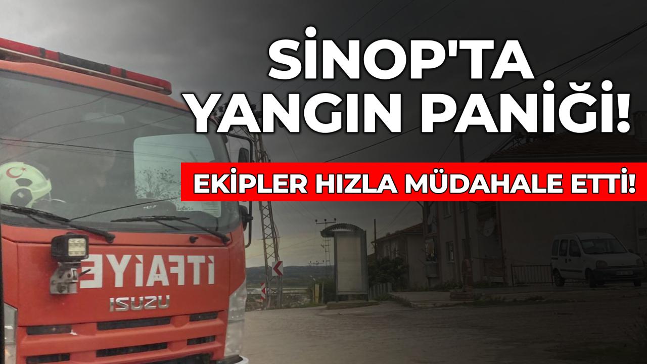 Otomatik Taslak