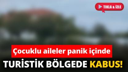 Sabah akşam dolaşan sürü vatandaşı bıktırdı