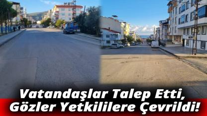 Mahalle sakinlerinden kasis talebi!