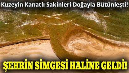 Sinop sahillerinde kartpostallık görüntüler