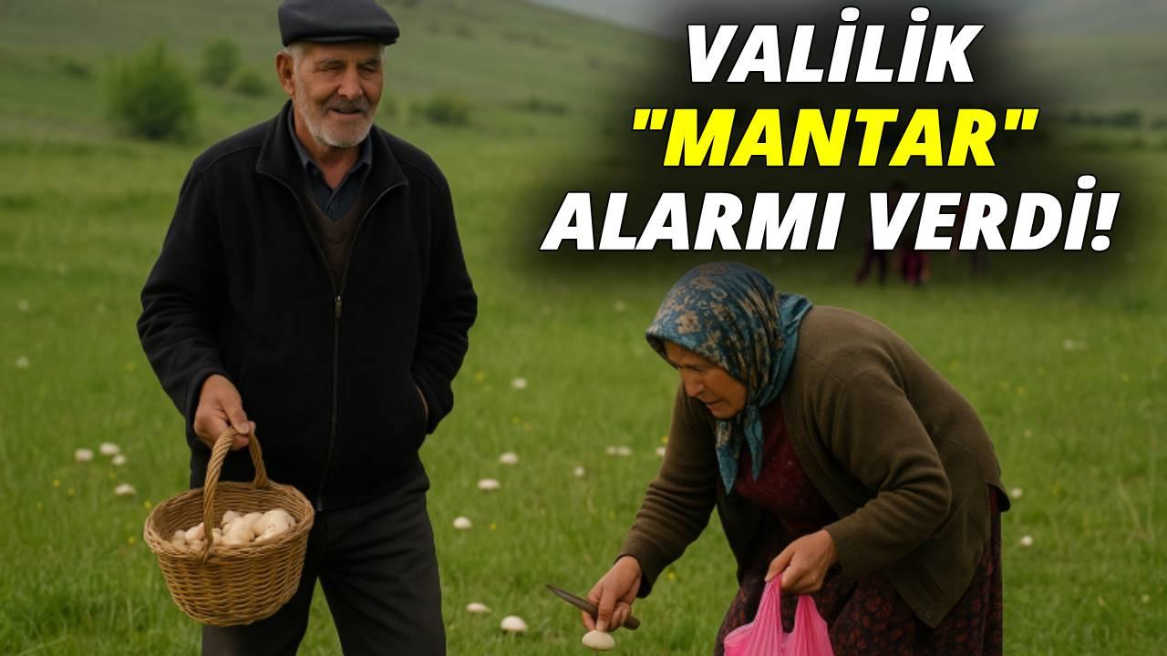 Sinop Valiliği'nden mantar toplama uyarısı!